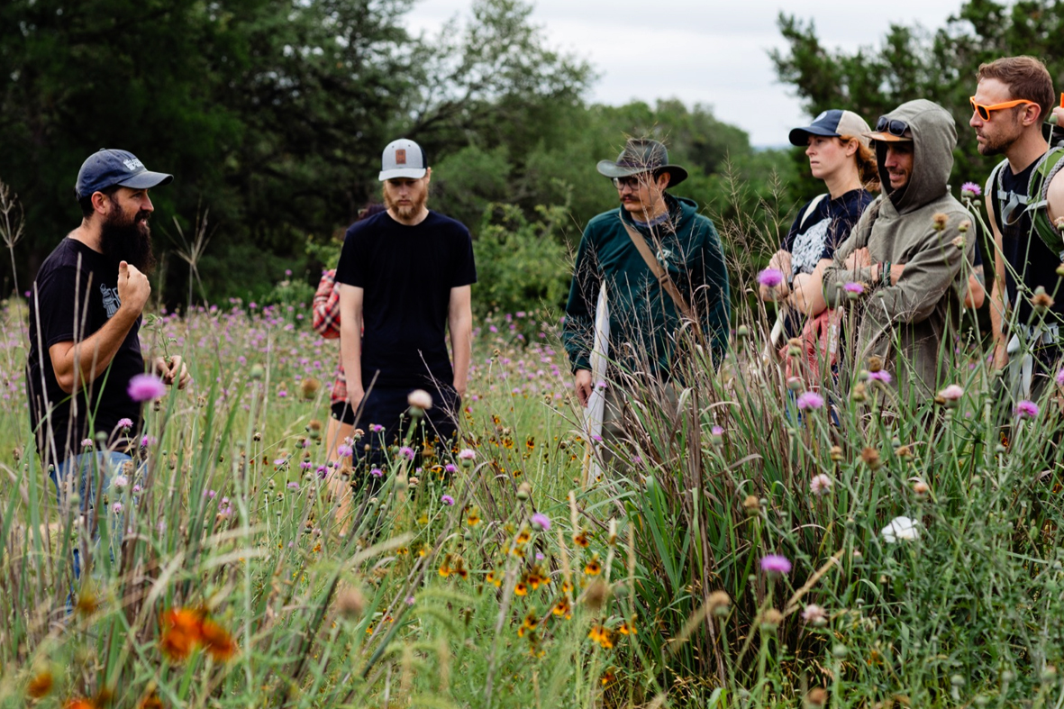 Пиво из леса